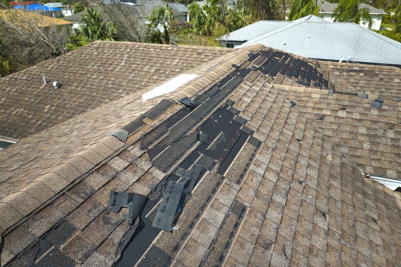 Roof Size and Area